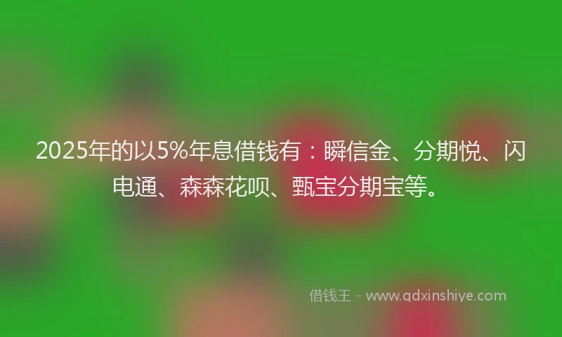 2025年的以5%年息借钱有：瞬信金、分期悦、闪电通、森森花呗、甄宝分期宝等。