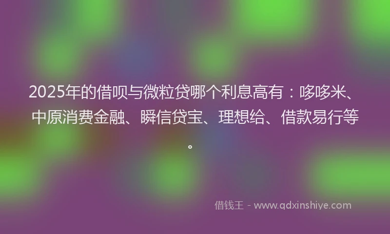 2025年的借呗与微粒贷哪个利息高有：哆哆米、中原消费金融、瞬信贷宝、理想给、借款易行等。