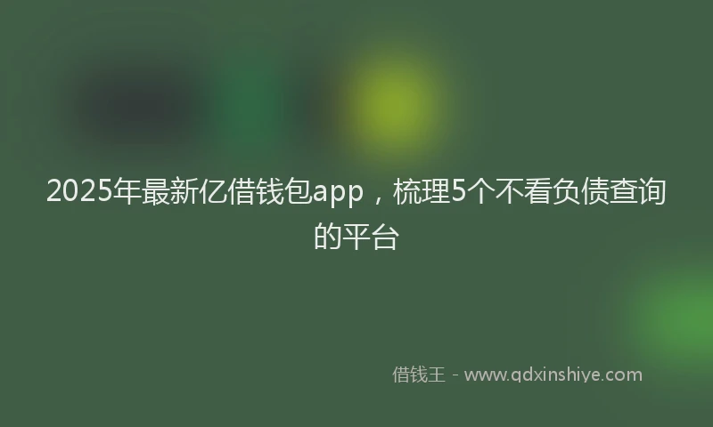 2025年最新亿借钱包app，梳理5个不看负债查询的平台