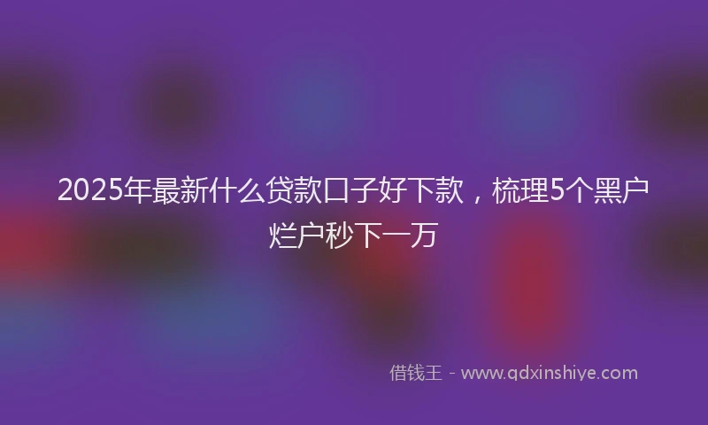 2025年最新什么贷款口子好下款，梳理5个黑户烂户秒下一万