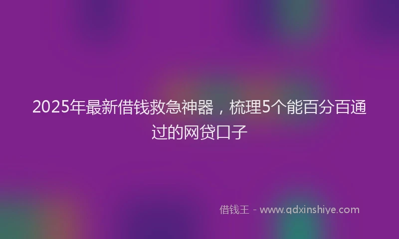 2025年最新借钱救急神器，梳理5个能百分百通过的网贷口子