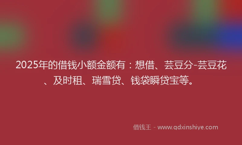 2025年的借钱小额金额有：想借、芸豆分-芸豆花、及时租、瑞雪贷、钱袋瞬贷宝等。
