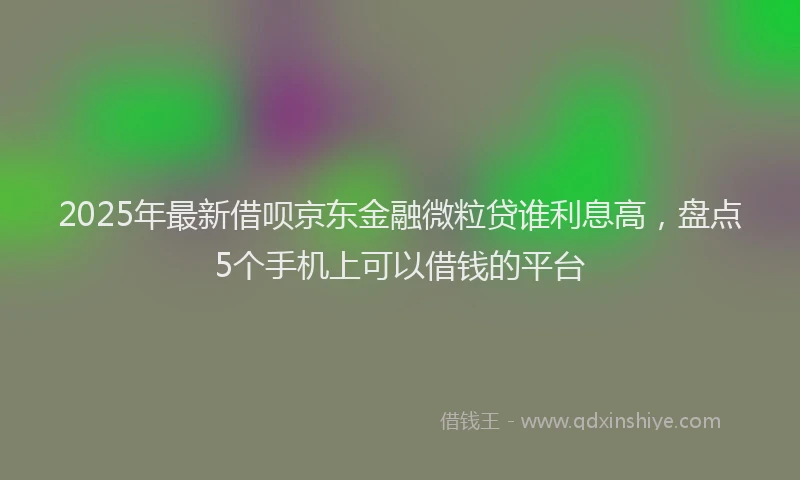 2025年最新借呗京东金融微粒贷谁利息高，盘点5个手机上可以借钱的平台
