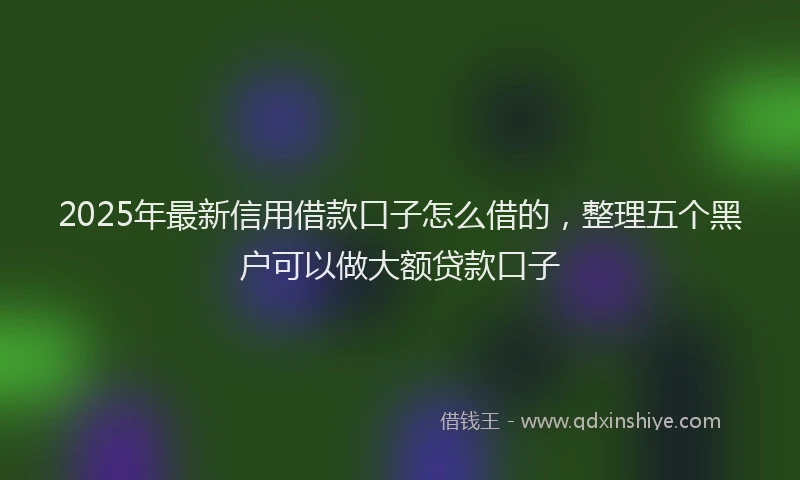 2025年最新信用借款口子怎么借的，整理五个黑户可以做大额贷款口子