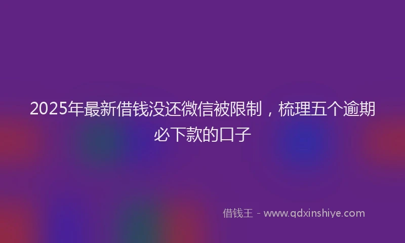 2025年最新借钱没还微信被限制，梳理五个逾期必下款的口子