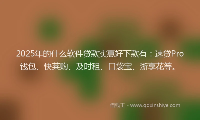 2025年的什么软件贷款实惠好下款有：速贷Pro钱包、快莱购、及时租、口袋宝、浙享花等。