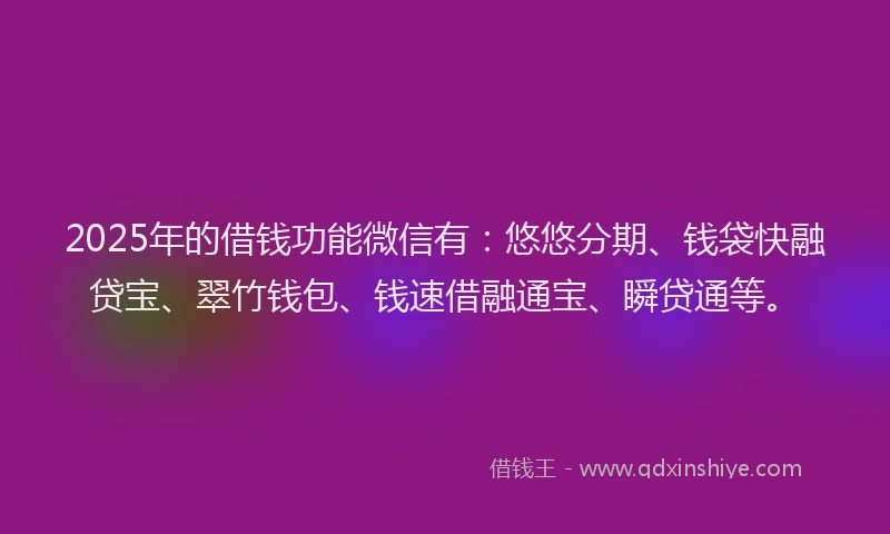 2025年的借钱功能微信有：悠悠分期、钱袋快融贷宝、翠竹钱包、钱速借融通宝、瞬贷通等。