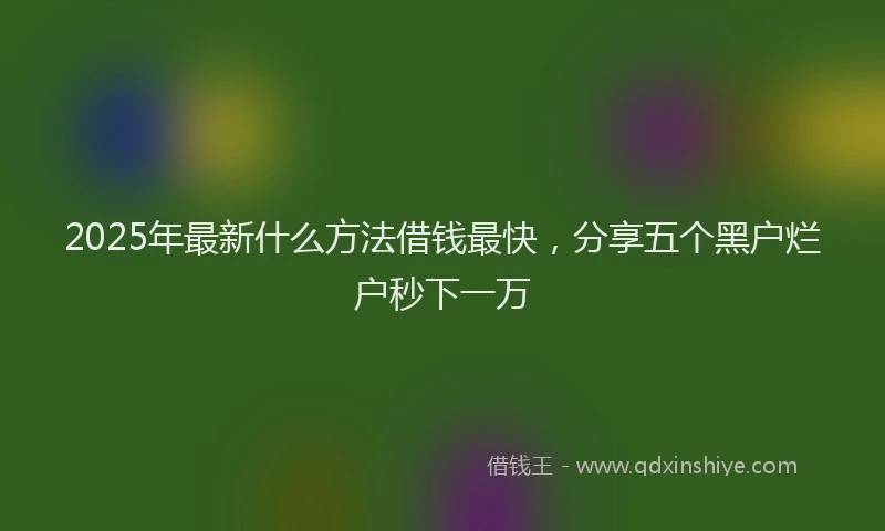 2025年最新什么方法借钱最快，分享五个黑户烂户秒下一万