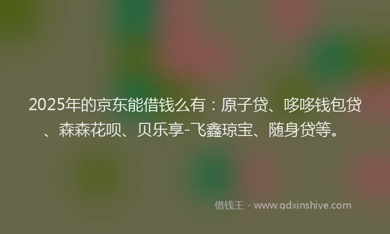 2025年的京东能借钱么有：原子贷、哆哆钱包贷、森森花呗、贝乐享-飞鑫琼宝、随身贷等。