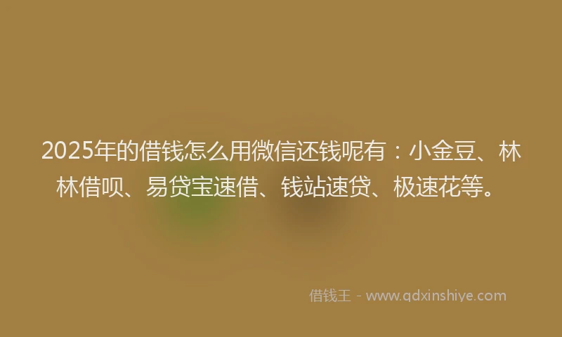 2025年的借钱怎么用微信还钱呢有：小金豆、林林借呗、易贷宝速借、钱站速贷、极速花等。