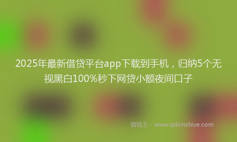 2025年最新借贷平台app下载到手机，归纳5个无视黑白100%秒下网贷小额夜间口子