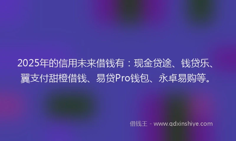 2025年的信用未来借钱有：现金贷途、钱贷乐、翼支付甜橙借钱、易贷Pro钱包、永卓易购等。