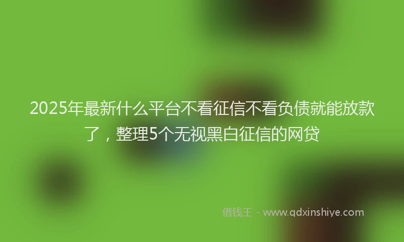 2025年最新什么平台不看征信不看负债就能放款了，整理5个无视黑白征信的网贷