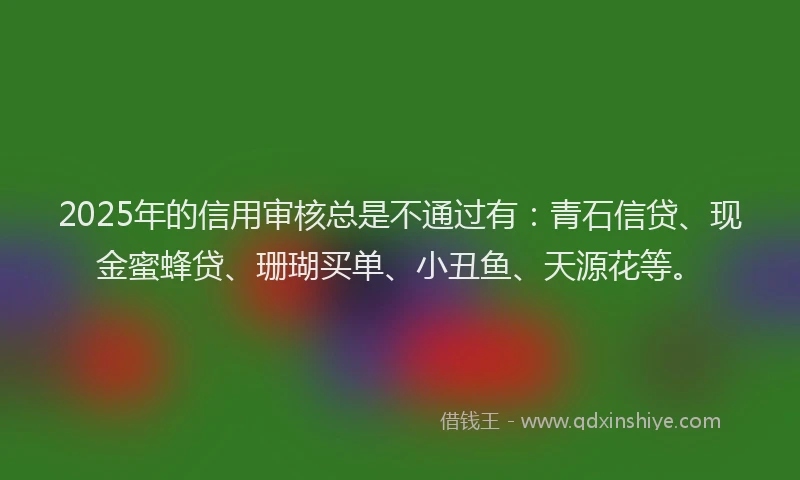 2025年的信用审核总是不通过有：青石信贷、现金蜜蜂贷、珊瑚买单、小丑鱼、天源花等。