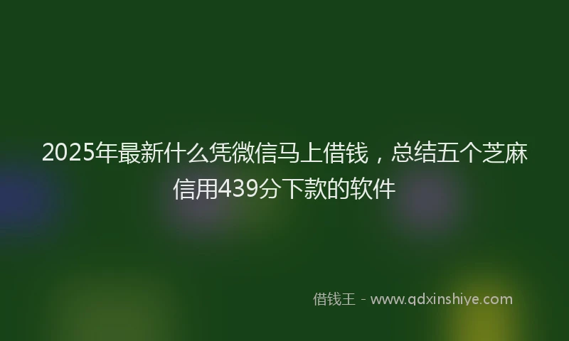 2025年最新什么凭微信马上借钱，总结五个芝麻信用439分下款的软件