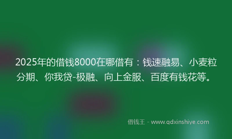 2025年的借钱8000在哪借有：钱速融易、小麦粒分期、你我贷-极融、向上金服、百度有钱花等。