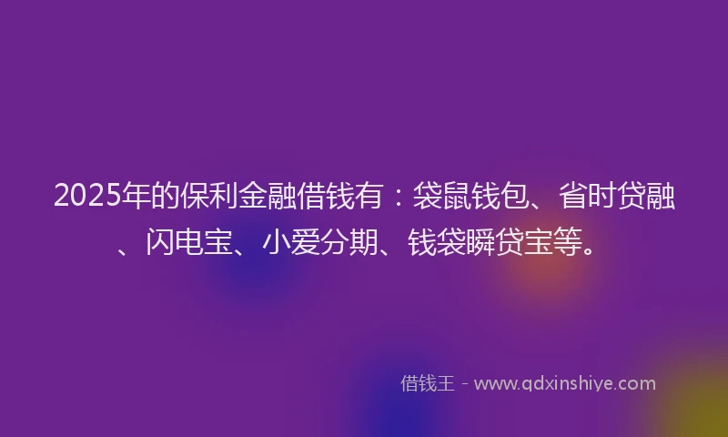 2025年的保利金融借钱有：袋鼠钱包、省时贷融、闪电宝、小爱分期、钱袋瞬贷宝等。