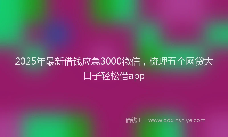 2025年最新借钱应急3000微信，梳理五个网贷大口子轻松借app