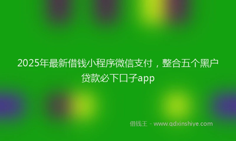 2025年最新借钱小程序微信支付，整合五个黑户贷款必下口子app