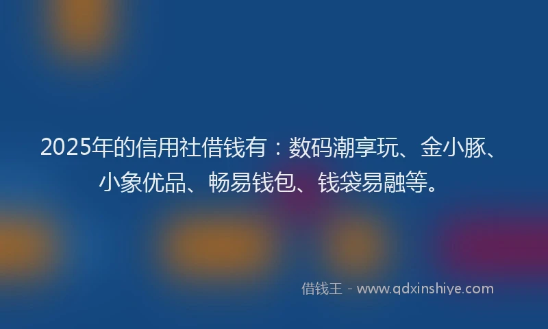 2025年的信用社借钱有：数码潮享玩、金小豚、小象优品、畅易钱包、钱袋易融等。