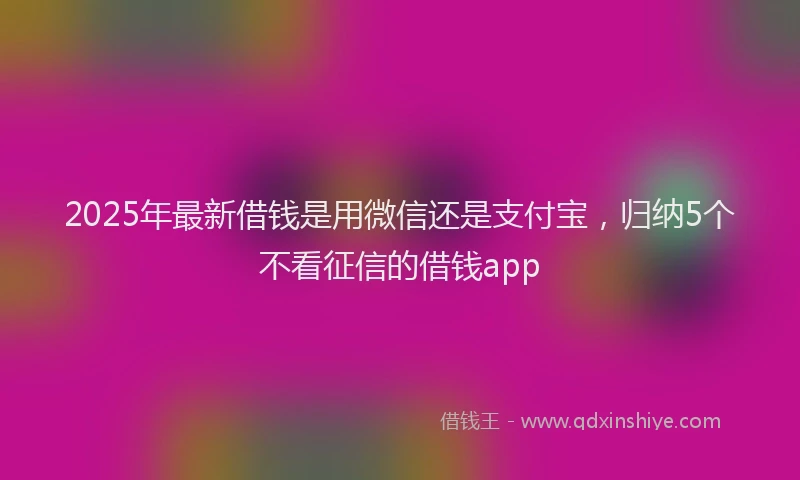 2025年最新借钱是用微信还是支付宝，归纳5个不看征信的借钱app