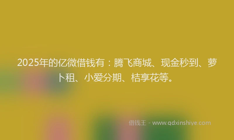 2025年的亿微借钱有：腾飞商城、现金秒到、萝卜租、小爱分期、桔享花等。