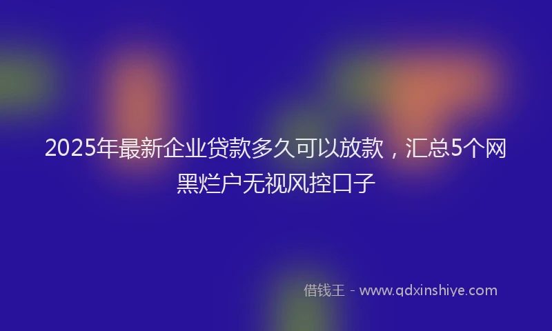 2025年最新企业贷款多久可以放款，汇总5个网黑烂户无视风控口子