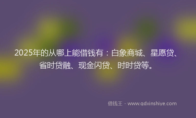 2025年的从哪上能借钱有：白象商城、星愿贷、省时贷融、现金闪贷、时时贷等。