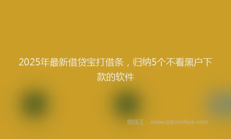 2025年最新借贷宝打借条，归纳5个不看黑户下款的软件