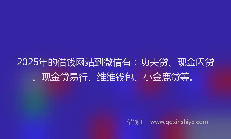 2025年的借钱网站到微信有：功夫贷、现金闪贷、现金贷易行、维维钱包、小金鹿贷等。
