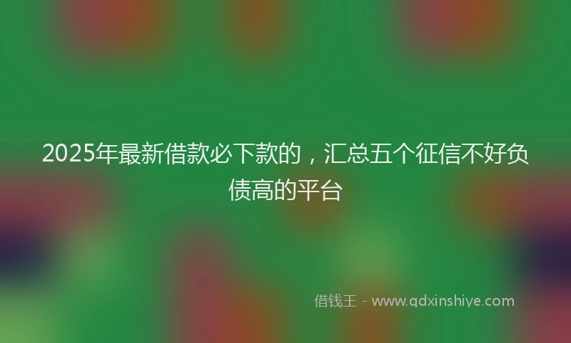 2025年最新借款必下款的，汇总五个征信不好负债高的平台