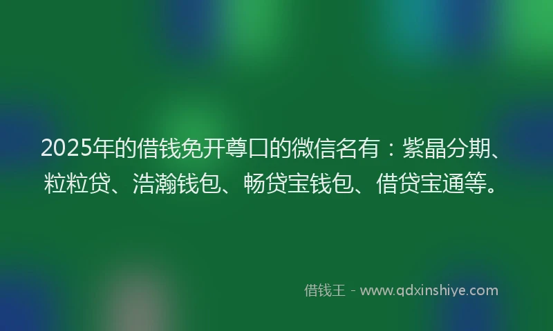 2025年的借钱免开尊口的微信名有：紫晶分期、粒粒贷、浩瀚钱包、畅贷宝钱包、借贷宝通等。