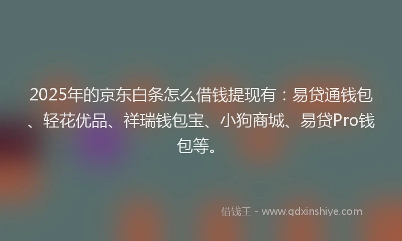 2025年的京东白条怎么借钱提现有：易贷通钱包、轻花优品、祥瑞钱包宝、小狗商城、易贷Pro钱包等。