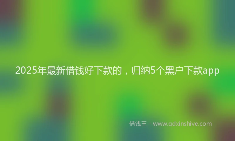 2025年最新借钱好下款的，归纳5个黑户下款app