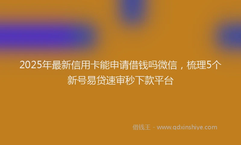 2025年最新信用卡能申请借钱吗微信，梳理5个新号易贷速审秒下款平台