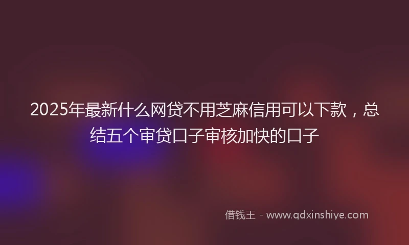 2025年最新什么网贷不用芝麻信用可以下款，总结五个审贷口子审核加快的口子