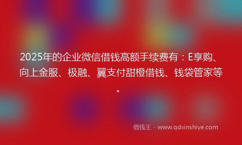 2025年的企业微信借钱高额手续费有：E享购、向上金服、极融、翼支付甜橙借钱、钱袋管家等。