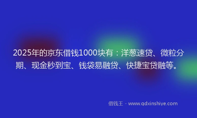 2025年的京东借钱1000块有：洋葱速贷、微粒分期、现金秒到宝、钱袋易融贷、快捷宝贷融等。