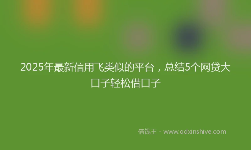 2025年最新信用飞类似的平台，总结5个网贷大口子轻松借口子