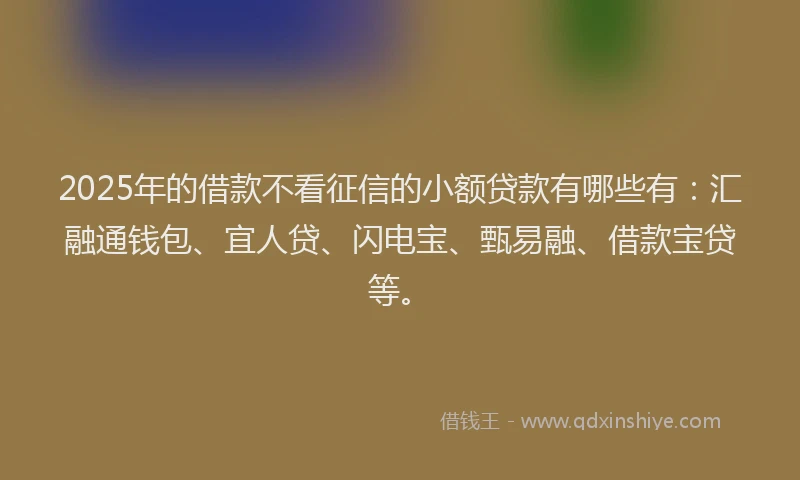 2025年的借款不看征信的小额贷款有哪些有：汇融通钱包、宜人贷、闪电宝、甄易融、借款宝贷等。