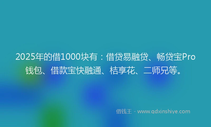2025年的借1000块有：借贷易融贷、畅贷宝Pro钱包、借款宝快融通、桔享花、二师兄等。