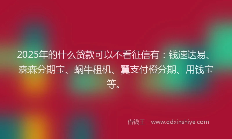 2025年的什么贷款可以不看征信有：钱速达易、森森分期宝、蜗牛租机、翼支付橙分期、用钱宝等。
