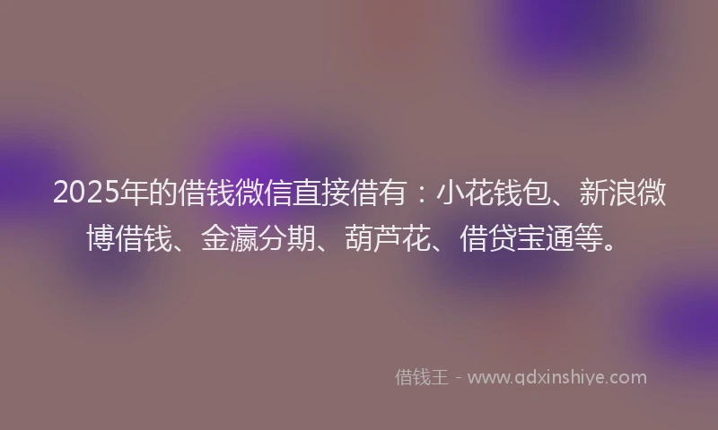 2025年的借钱微信直接借有：小花钱包、新浪微博借钱、金瀛分期、葫芦花、借贷宝通等。