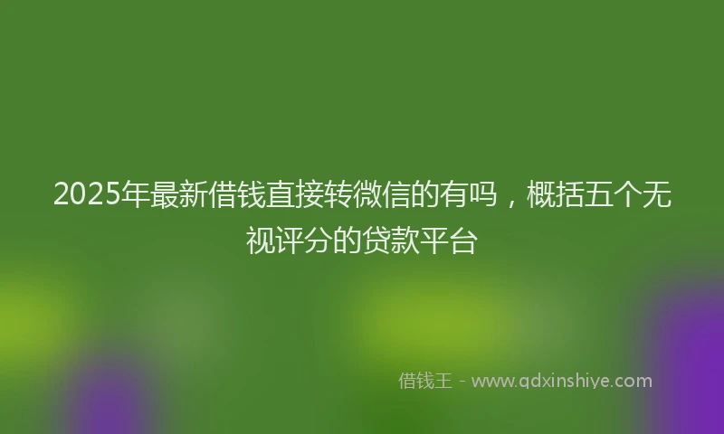2025年最新借钱直接转微信的有吗，概括五个无视评分的贷款平台