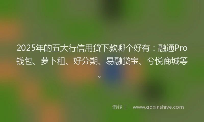 2025年的五大行信用贷下款哪个好有：融通Pro钱包、萝卜租、好分期、易融贷宝、兮悦商城等。