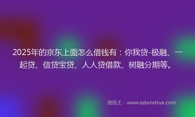 2025年的京东上面怎么借钱有：你我贷-极融、一起贷、信贷宝贷、人人贷借款、树融分期等。