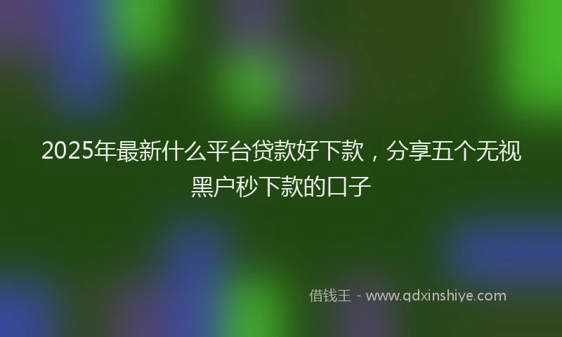 2025年最新什么平台贷款好下款，分享五个无视黑户秒下款的口子