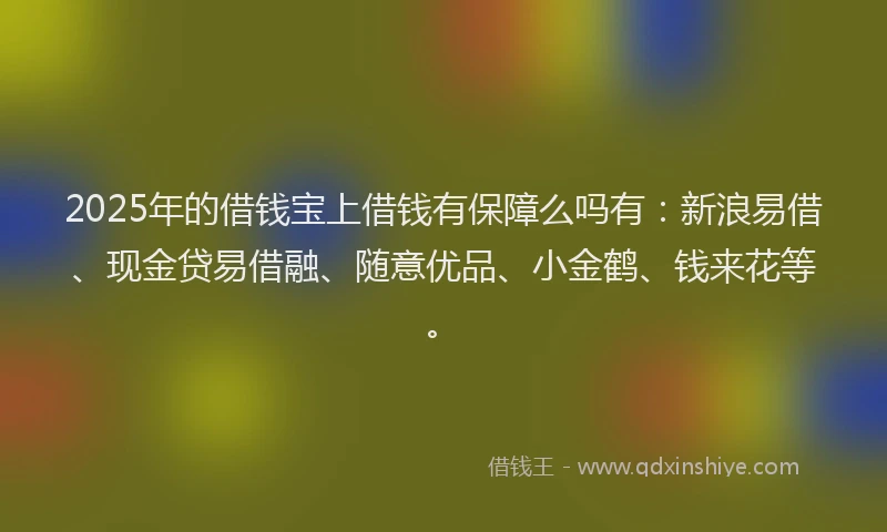 2025年的借钱宝上借钱有保障么吗有：新浪易借、现金贷易借融、随意优品、小金鹤、钱来花等。