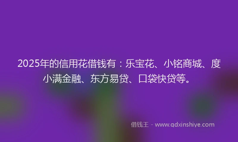 2025年的信用花借钱有：乐宝花、小铭商城、度小满金融、东方易贷、口袋快贷等。