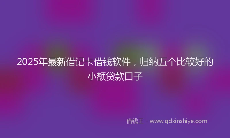 2025年最新借记卡借钱软件，归纳五个比较好的小额贷款口子
